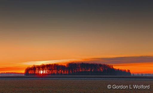 Sunrise Behind Trees_10566-7.jpg - Photographed at Ottawa, Ontario - the capital of Canada.